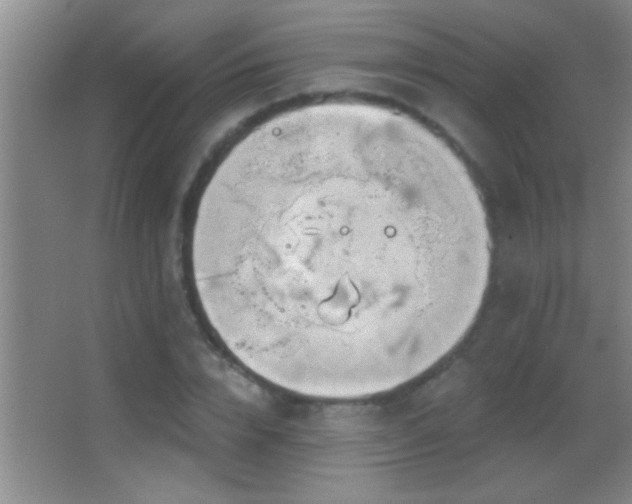 X0000062910832200601131424