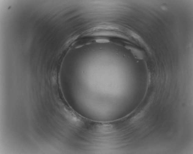 X0000062910833200601131424