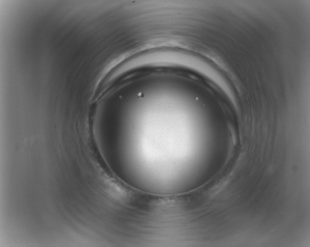 X0000062910834200601131424