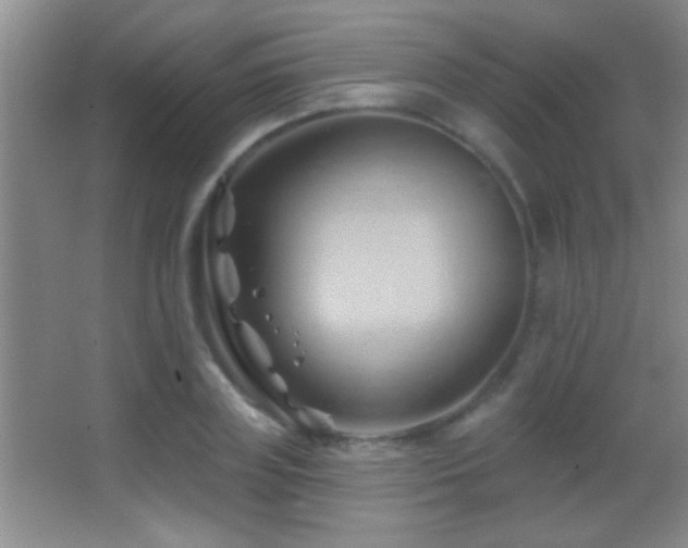 X0000062910835200601131424