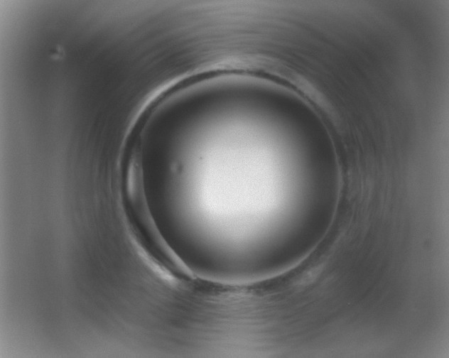 X0000062910838200601131424