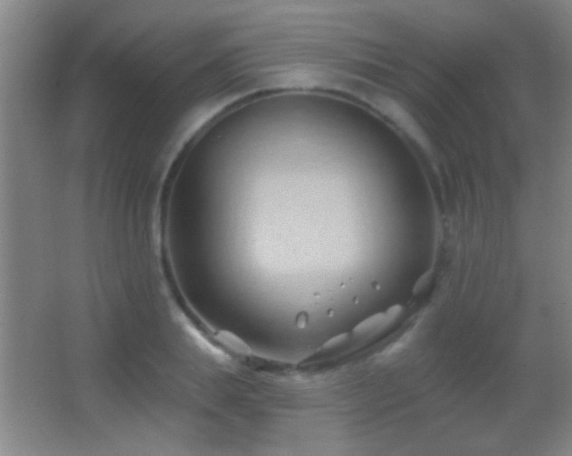 X0000062910839200601131424