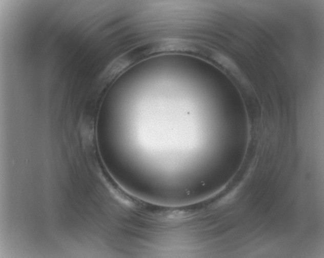 X0000062910841200601131424