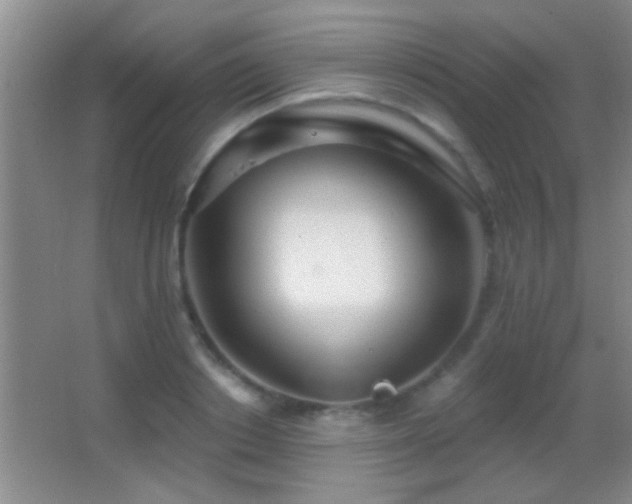 X0000062910842200601131424