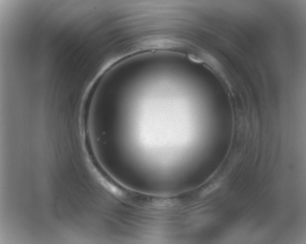 X0000062910843200601131424