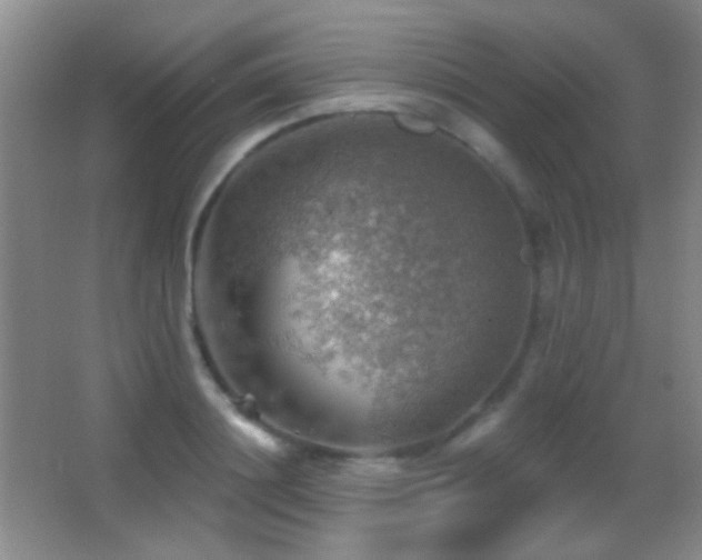 X0000062910844200601131424