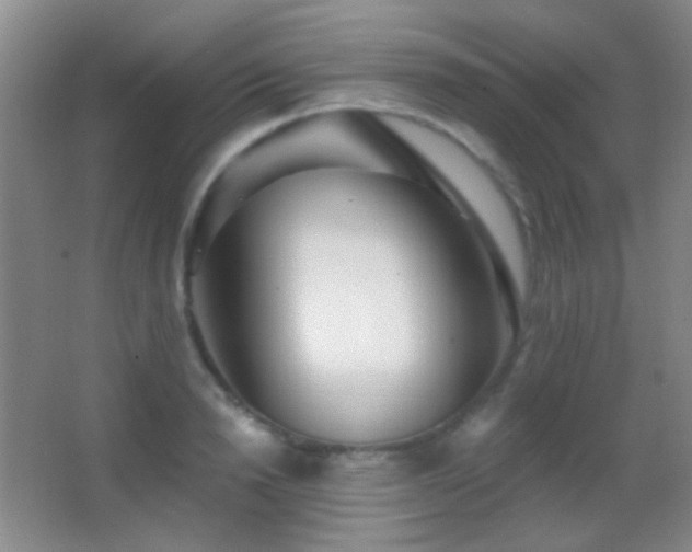 X0000062910846200601131424