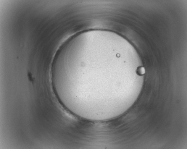 X0000062910848200601131424