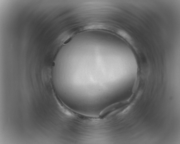 X0000062910849200601131424