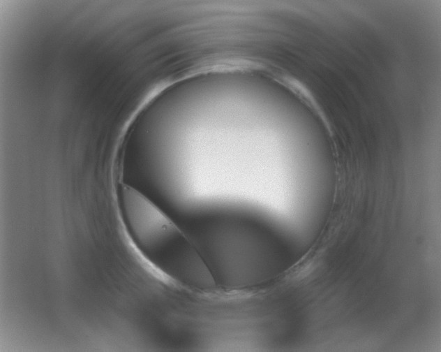 X0000062910851200601131424