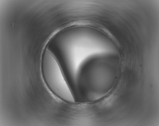 X0000062910853200601131424