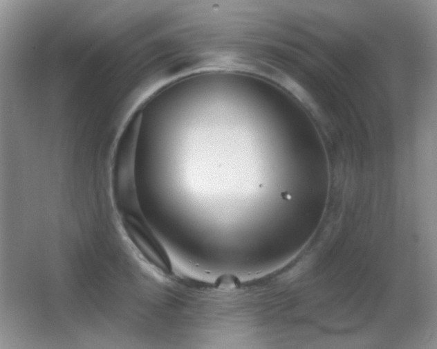 X0000062910854200601131424