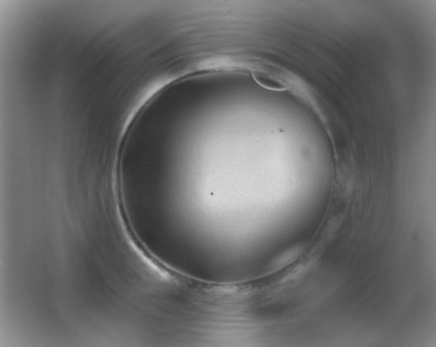 X0000062910855200601131424