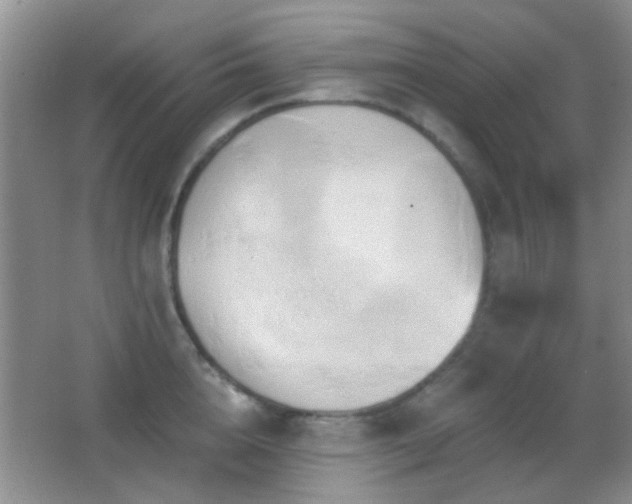 X0000062910856200601131424