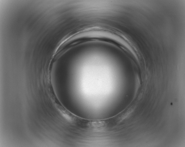 X0000062910858200601131424