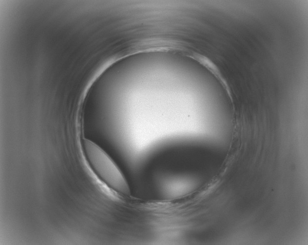 X0000062910859200601131424