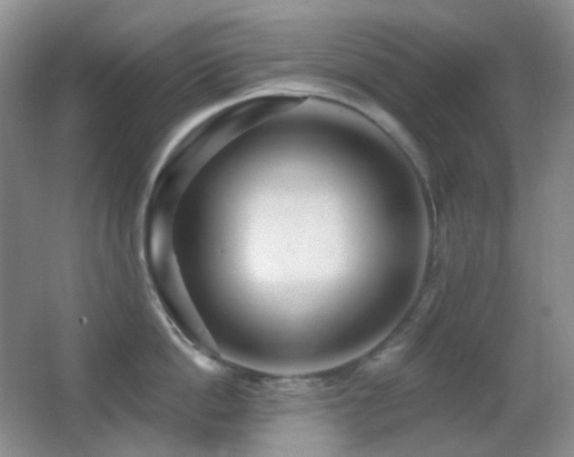 X0000062910862200601131424