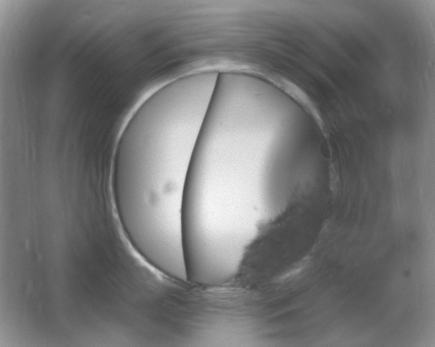 X0000062910863200601131424