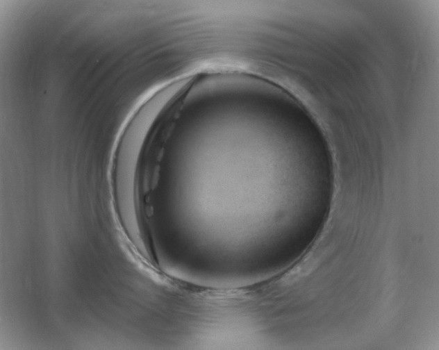 X0000062910864200601131424