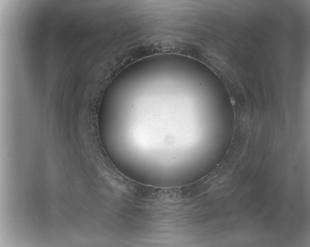 X0000062910865200601131423