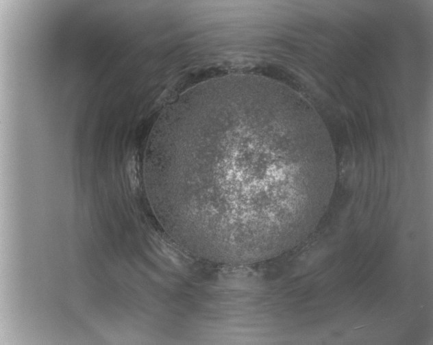 X0000062910866200601131423