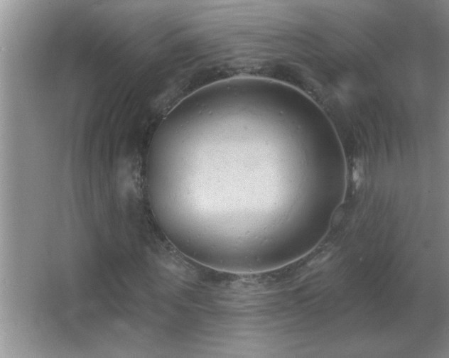 X0000062910867200601131423