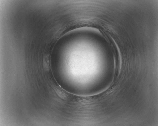 X0000062910868200601131423