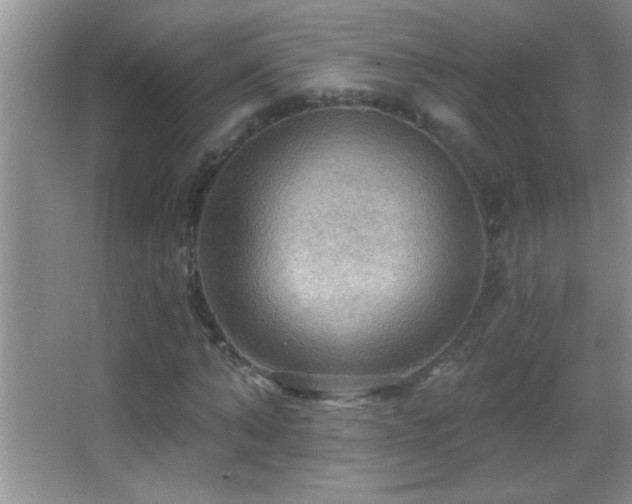 X0000062910870200601131423