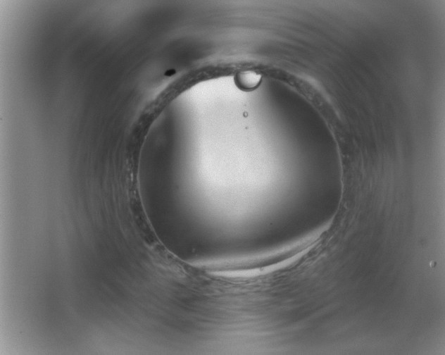 X0000062910871200601131423