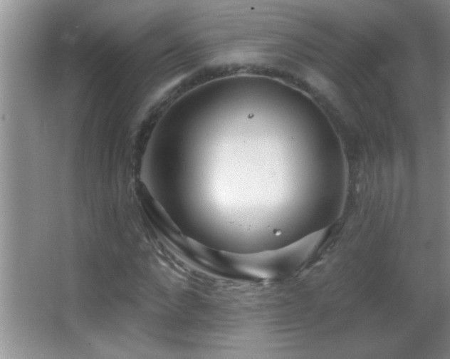 X0000062910872200601131423