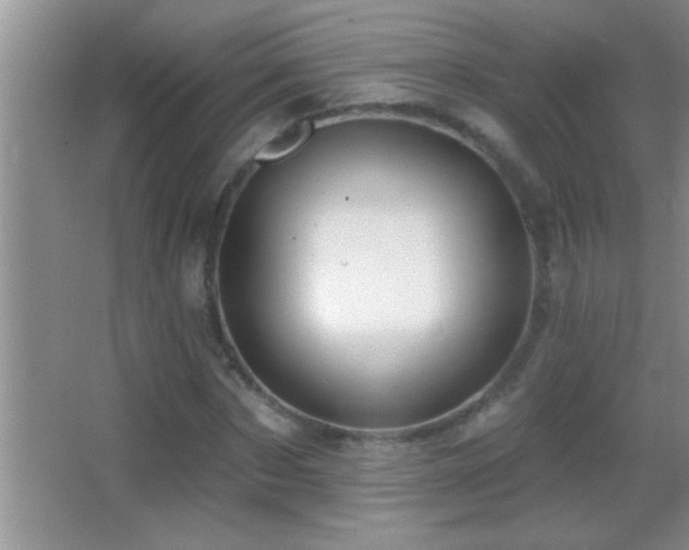 X0000062910873200601131423