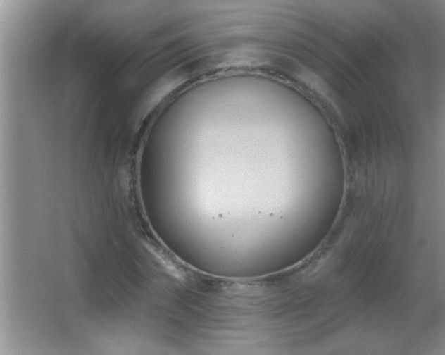 X0000062910874200601131423