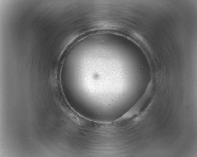 X0000062910875200601131423