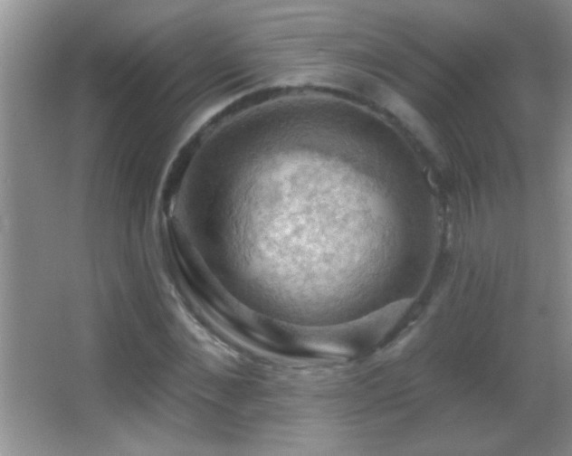 X0000062910876200601131423