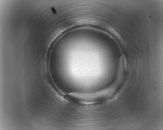 X0000062910877200601131423