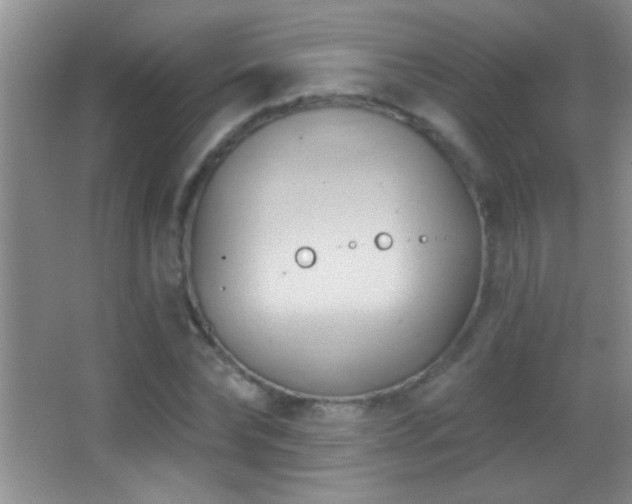 X0000062910878200601131423