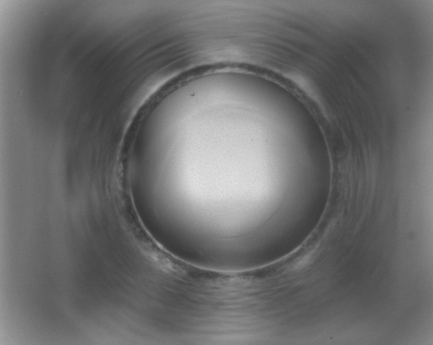 X0000062910879200601131423