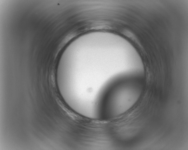 X0000062910882200601131423