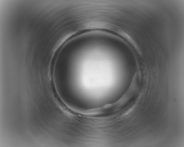 X0000062910885200601131423