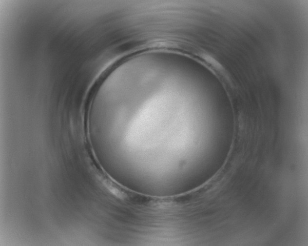 X0000062910886200601131423