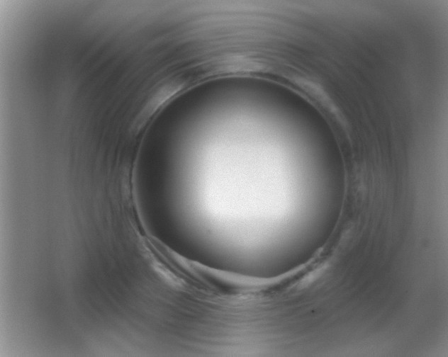 X0000062910889200601131423