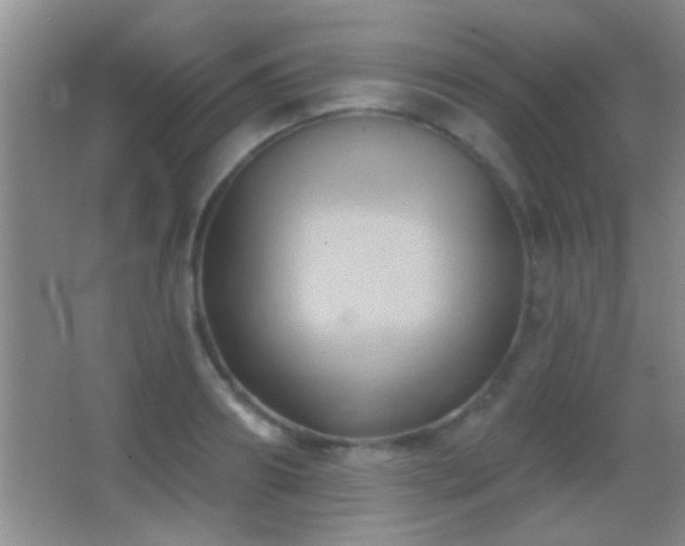 X0000062910890200601131423