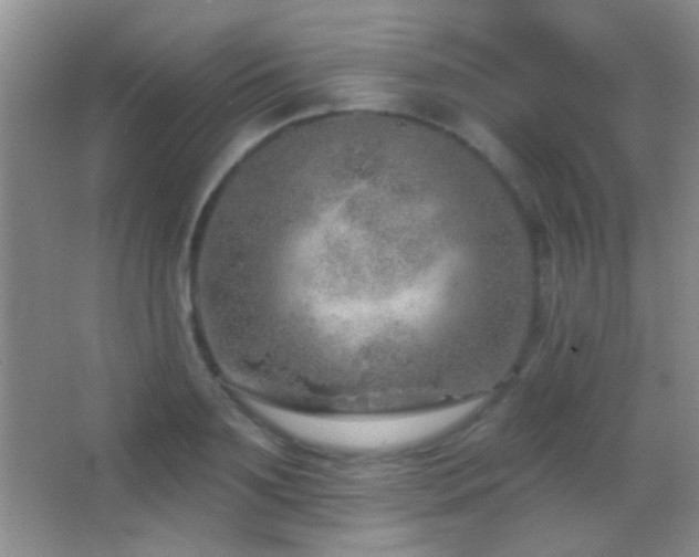 X0000062910891200601131423