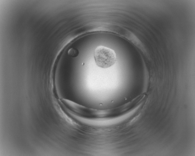 X0000062910892200601131423