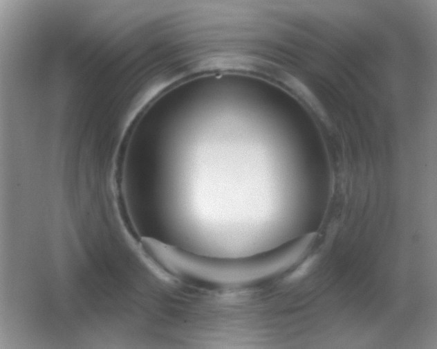 X0000062910893200601131423