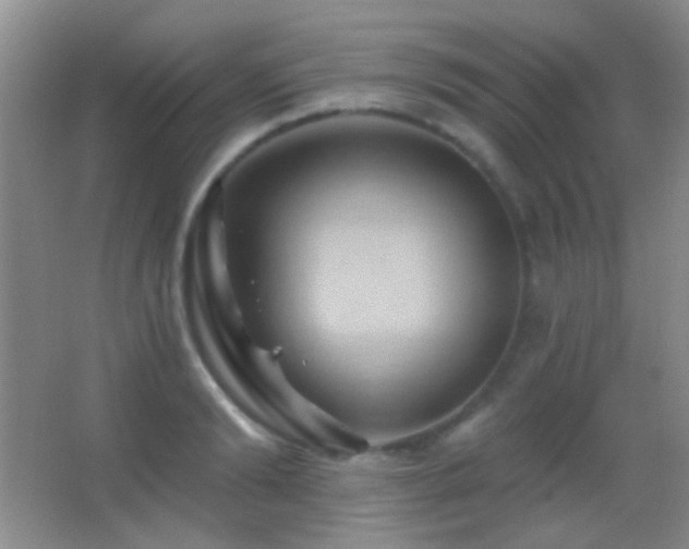 X0000062910894200601131423