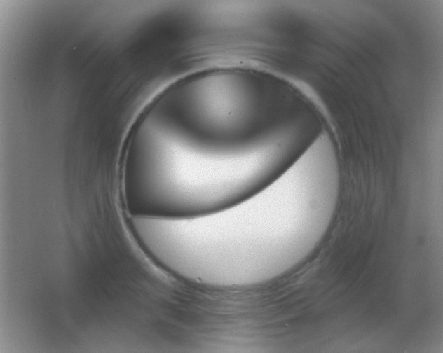 X0000062910895200601131423