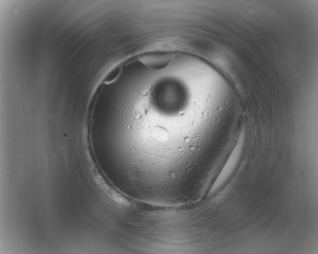 X0000062910896200601131423