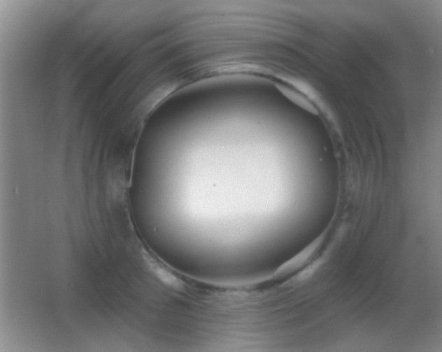 X0000062910897200601131423