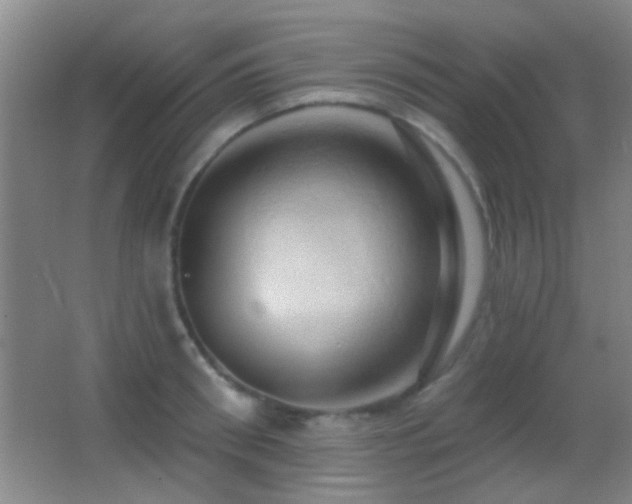 X0000062910898200601131423